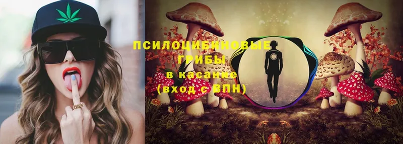 что такое   Карабаново  Галлюциногенные грибы Cubensis 